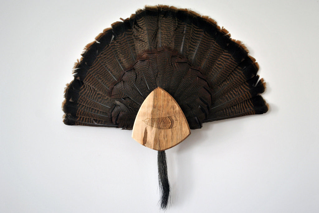 TURKEY FAN TAIL MOUNT